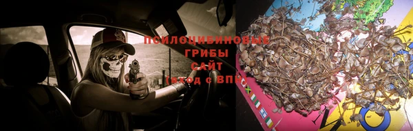 дживик Семилуки