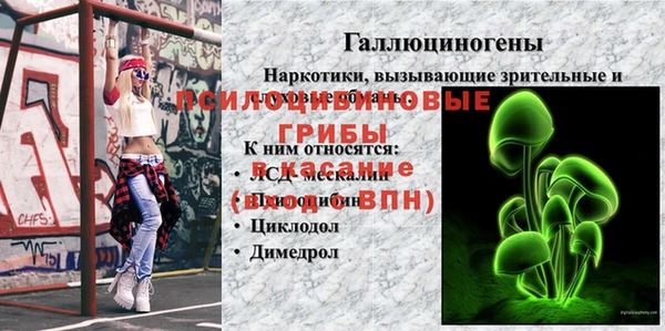 таблы Семёнов