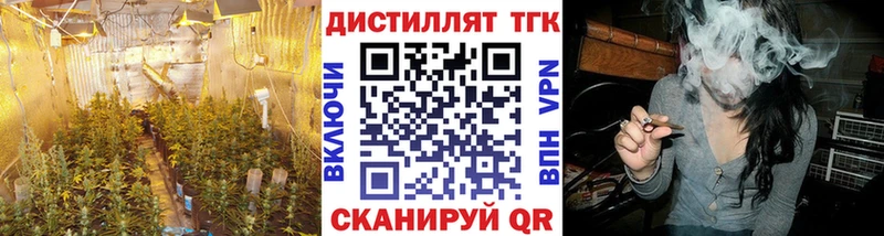 купить  сайты  Можайск  ТГК THC oil 